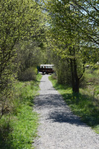 Balade en char à bancs