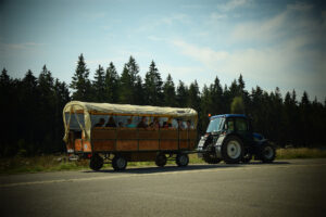 Char à bancs au Parc Naturel des Hautes Fagnes