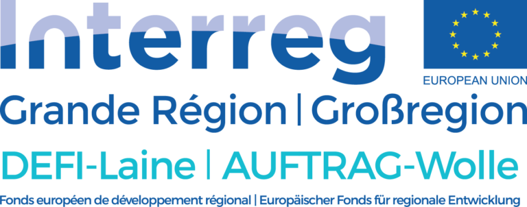 Interreg - DEFI Laine logo