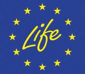 Logo Life