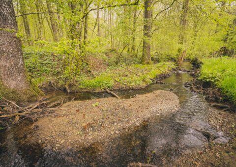 Contrat de rivière Moselle