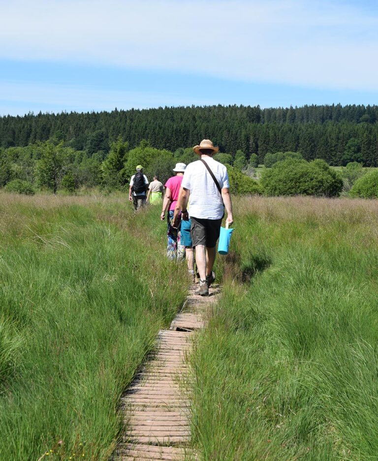 Promenades guidées en Fagnes