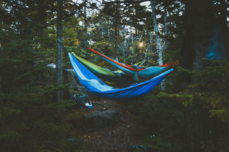 Bivouac