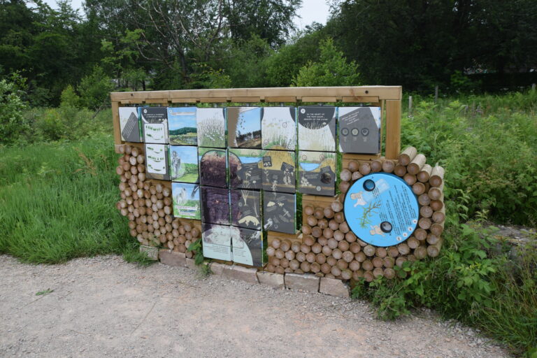 Sentier didactique Maison du Parc-Botrange
