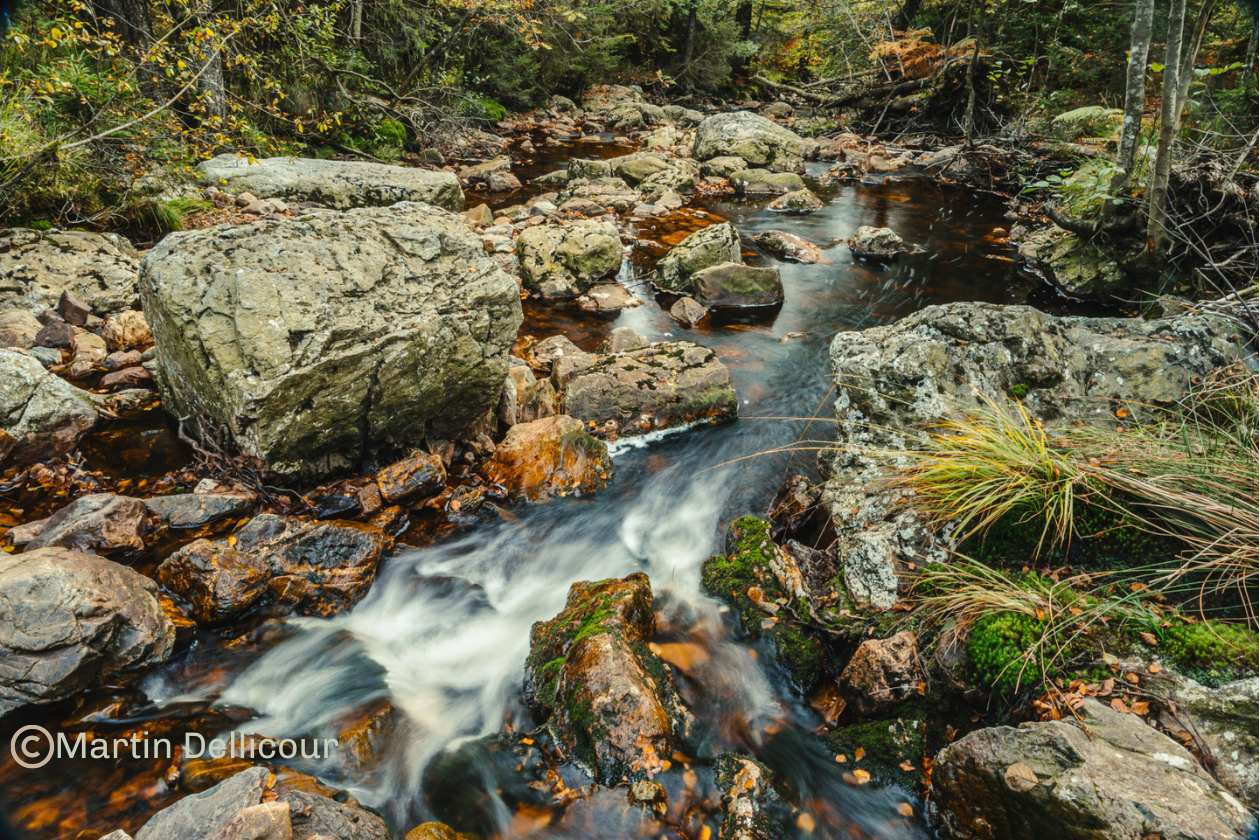 ruisseaux Hautes Fagnes