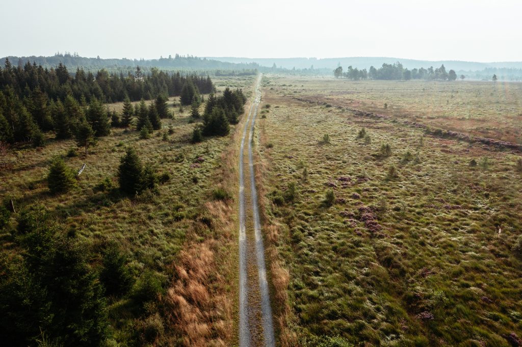 Parc Naturel des Hautes Fagnes Eifel©Chris_Eyre-Walker