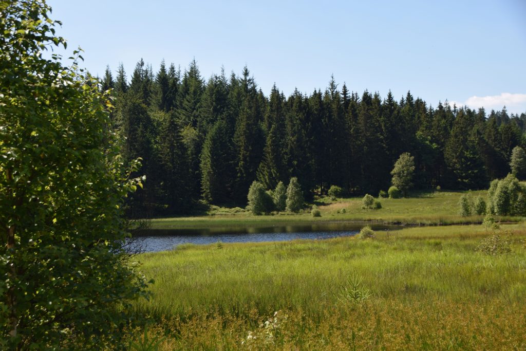 CR PNHFE (13)-prairie