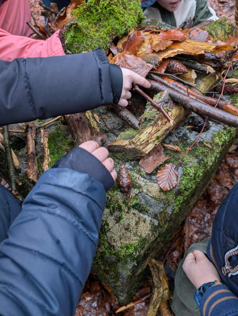 Mains d'enfants sur des branches