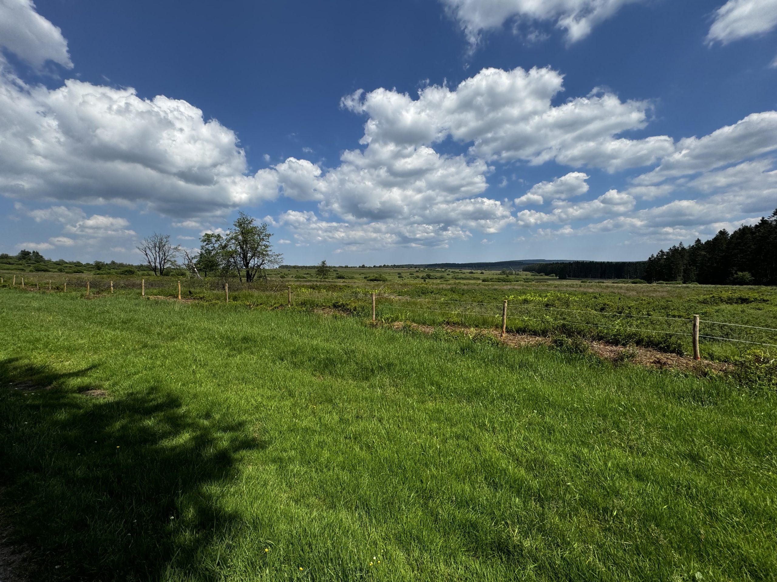 Paysage Parc naturel Hautes Fagnes-Eifel