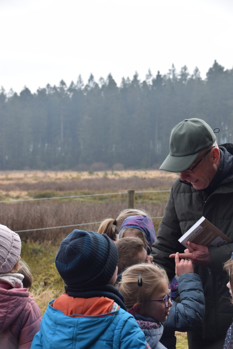 Guide nature avec des élèves de primaire dans les Hautes Fagnes