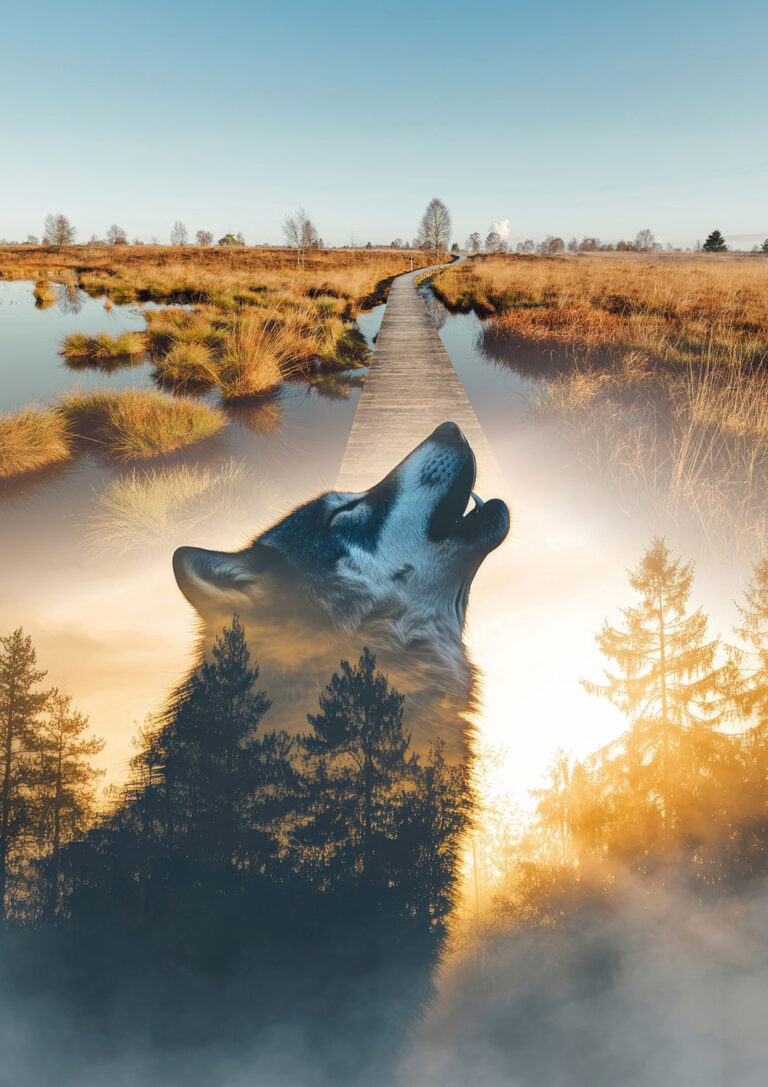 Affiche EXPO Loup