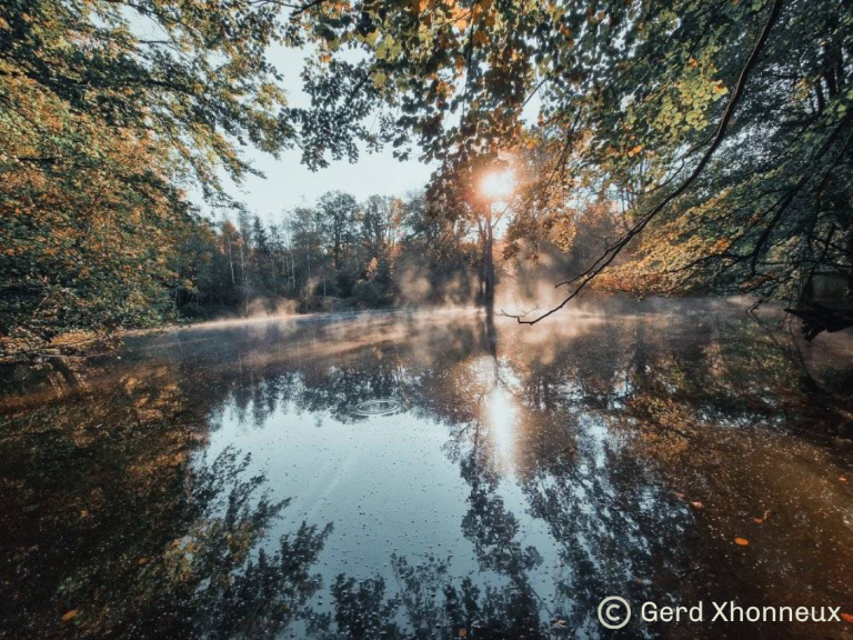Lac de Kettenis avec de la brume et un soleil levant