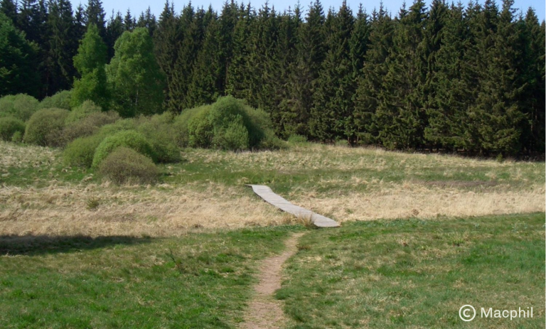 Photo du sommet du Weisser Stein