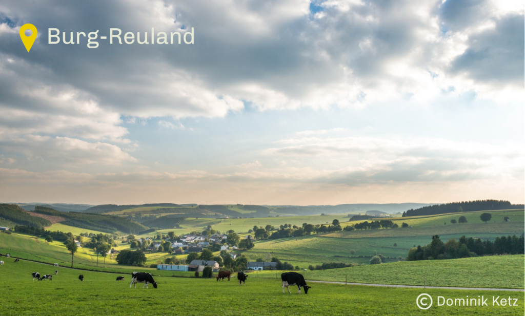 Paysage agricole Burg-Reuland