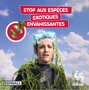 Afiche de compagne de sensibilisation de la Région Wallonne contre les espèces exotiques envahissantes