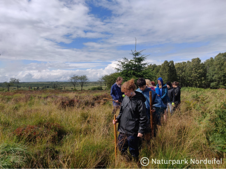 Jeunes marchant dans les hautes herbes dans les Hautes Fagnes