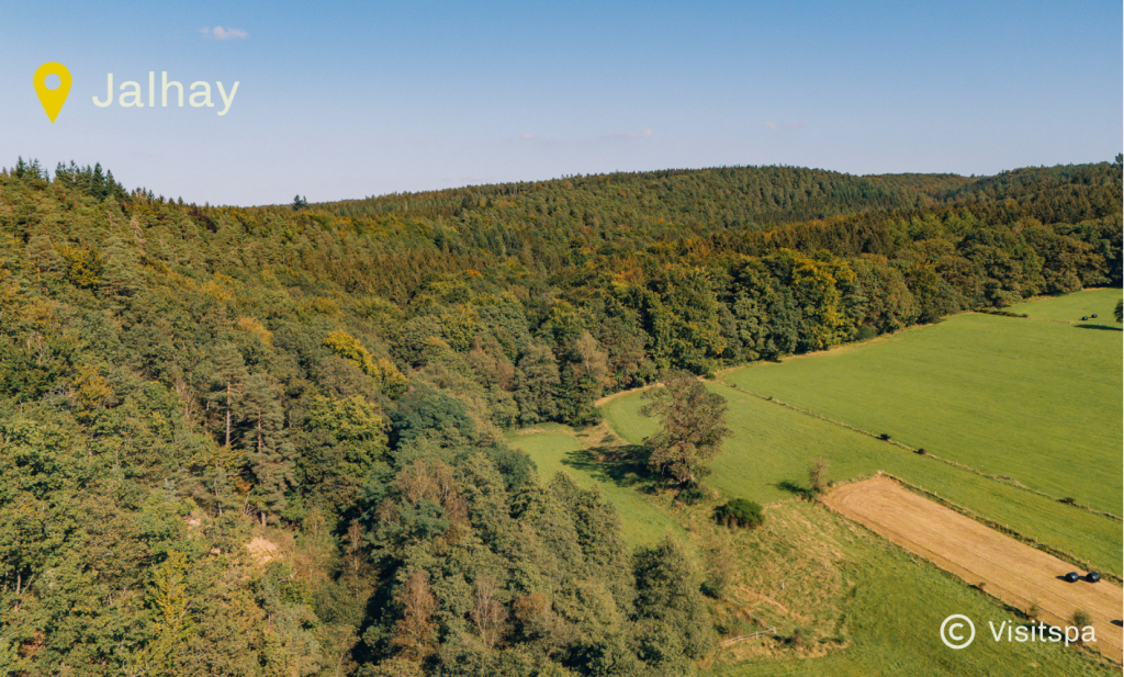 Paysage forestier Jalhay