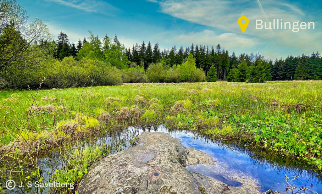 Sommet du Weisser stein Bullange