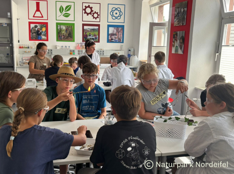 Jeunes faisant un labo sur les éléments de la nature