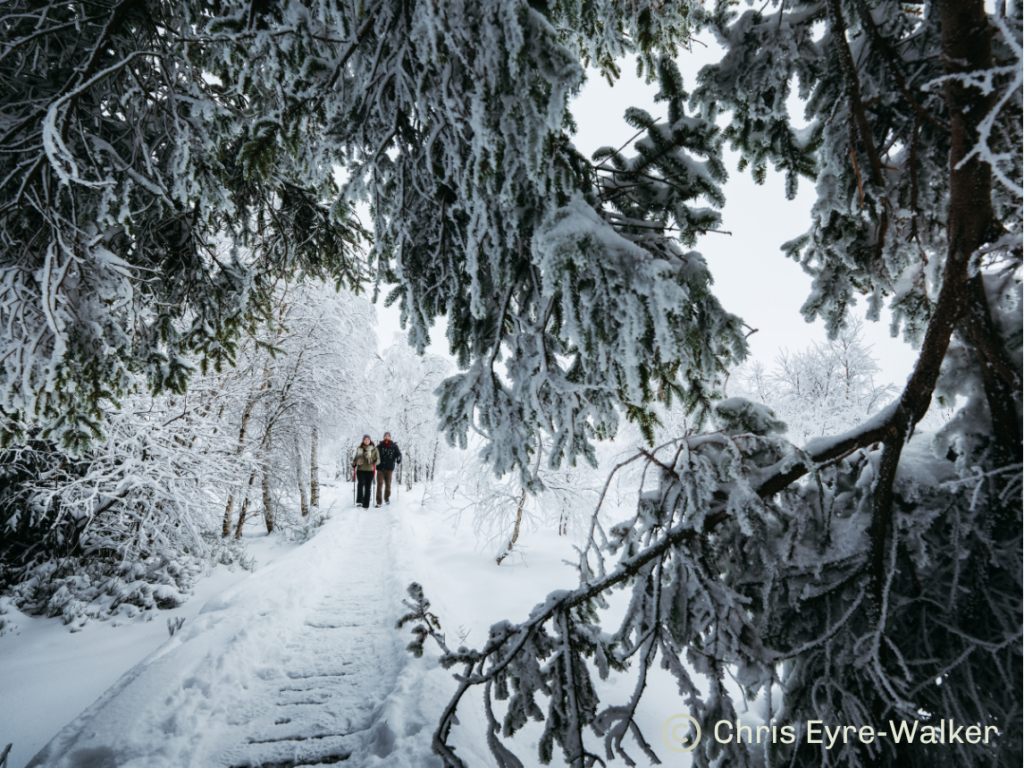 Paysage forestier du parc naturel sous la neige avec deux visiteurs