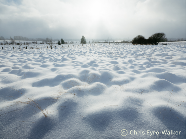 Parc naturel paysage sous la neige