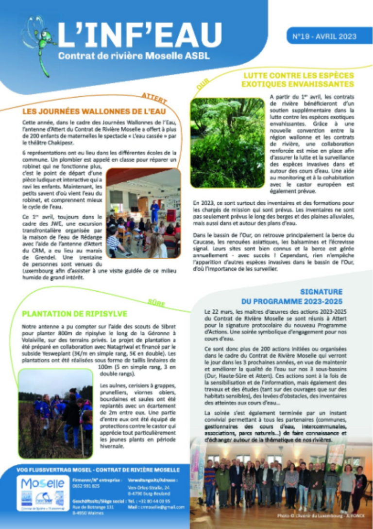 Couverture de L'Inf'eau n°19
