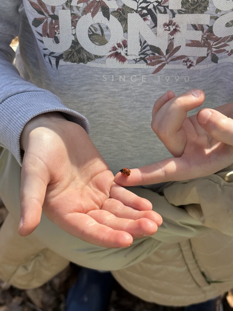 Enfant tenant une coccinelle sur le bout de son doigt