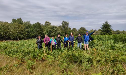 Camps jeunesse Parc naturel