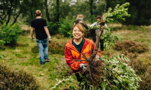 Développement durable Parc anturel